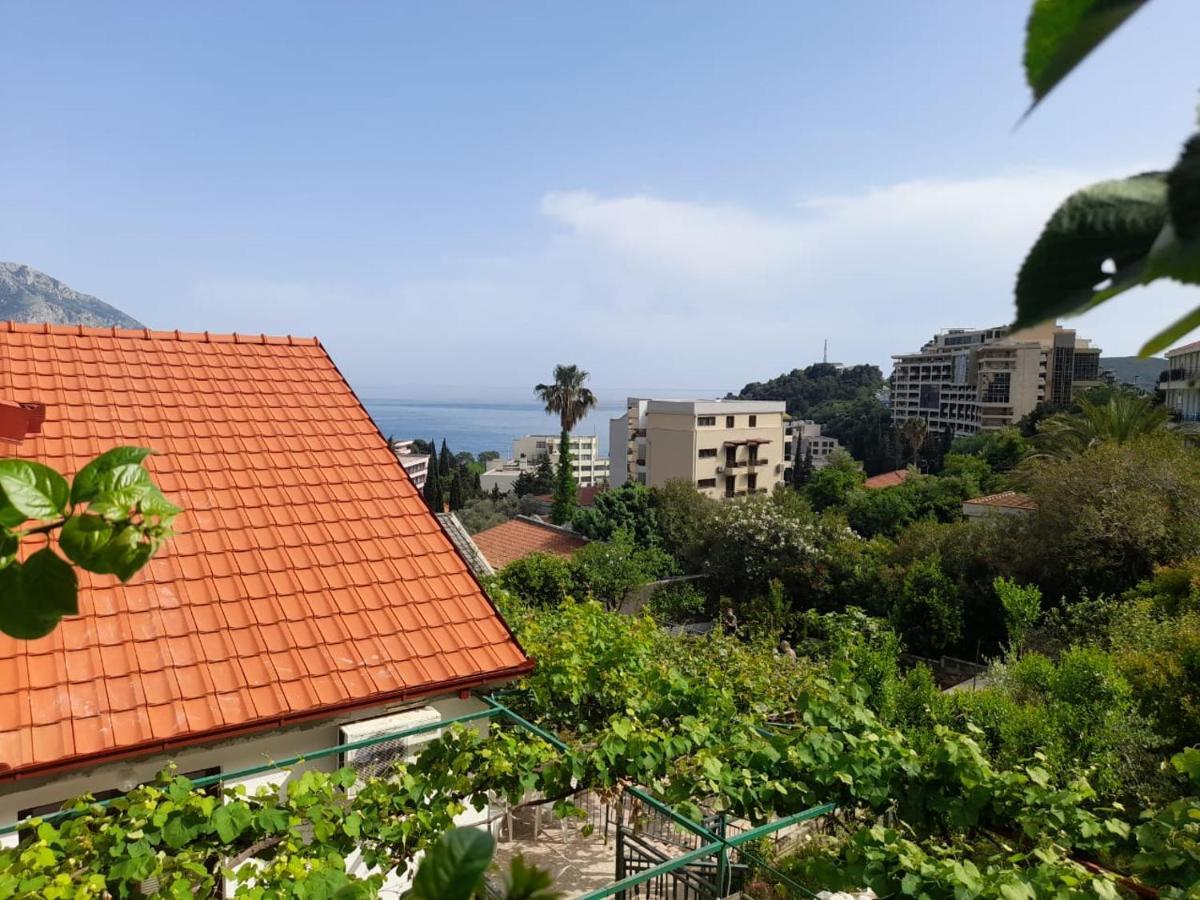 Apartmens Marina Lägenhet Bečići