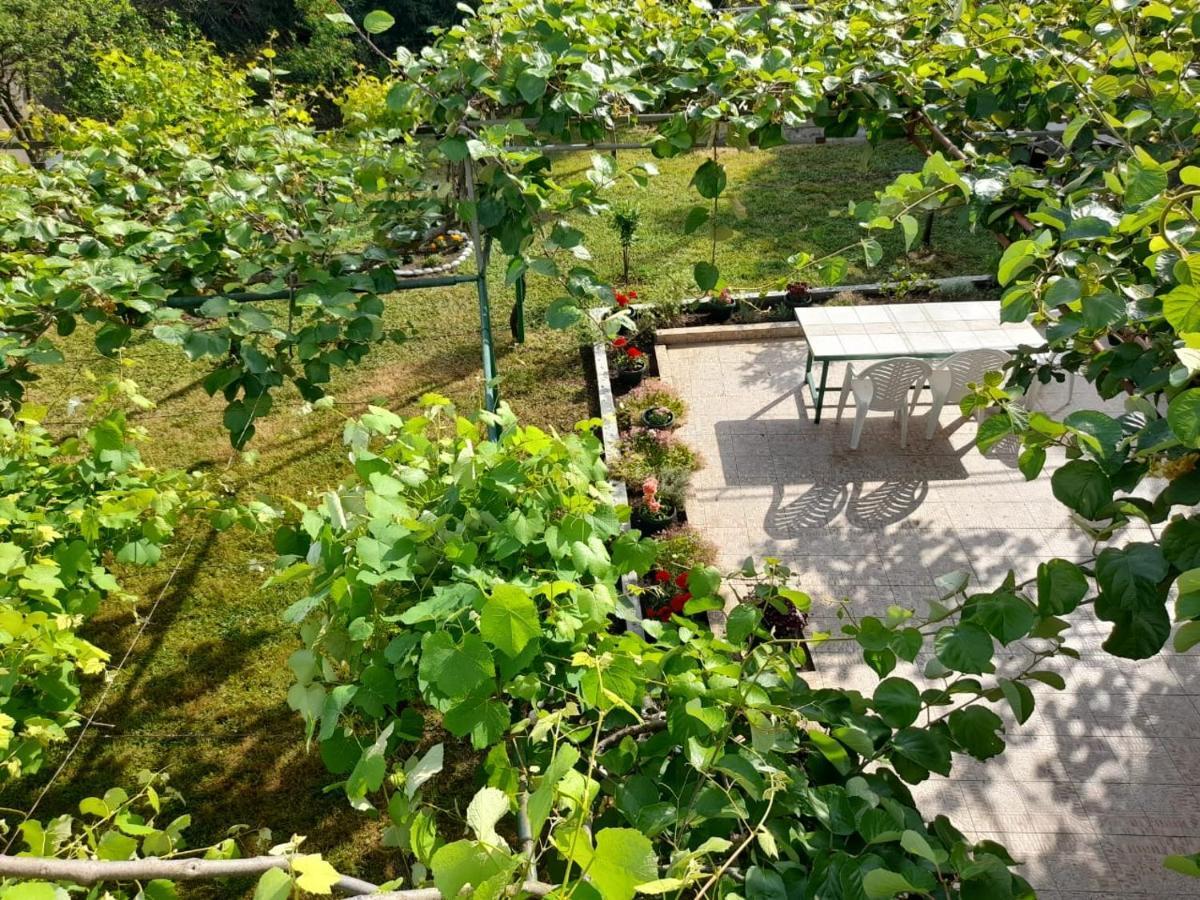 Apartmens Marina Lägenhet Bečići