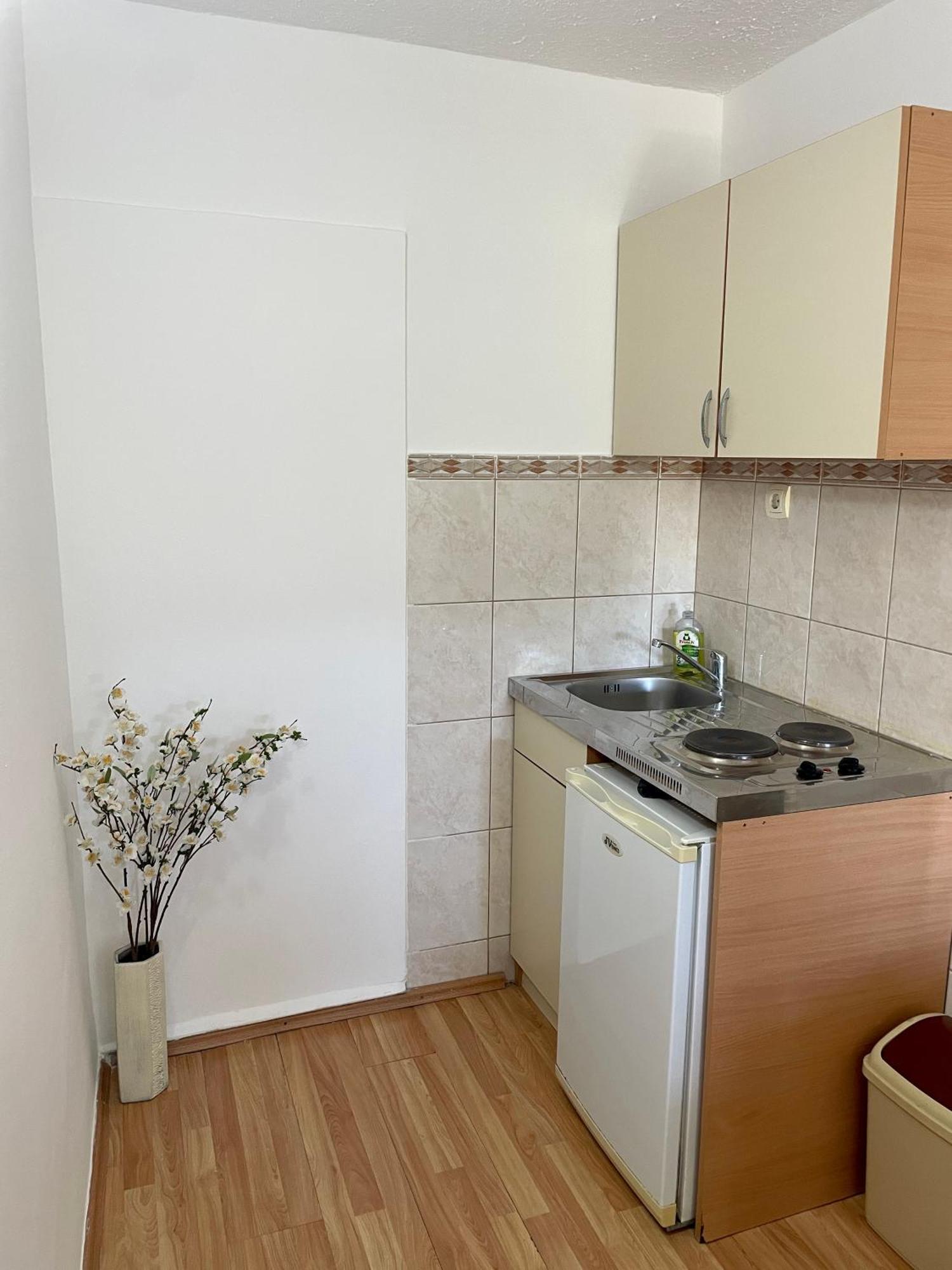 Apartmens Marina Lägenhet Bečići