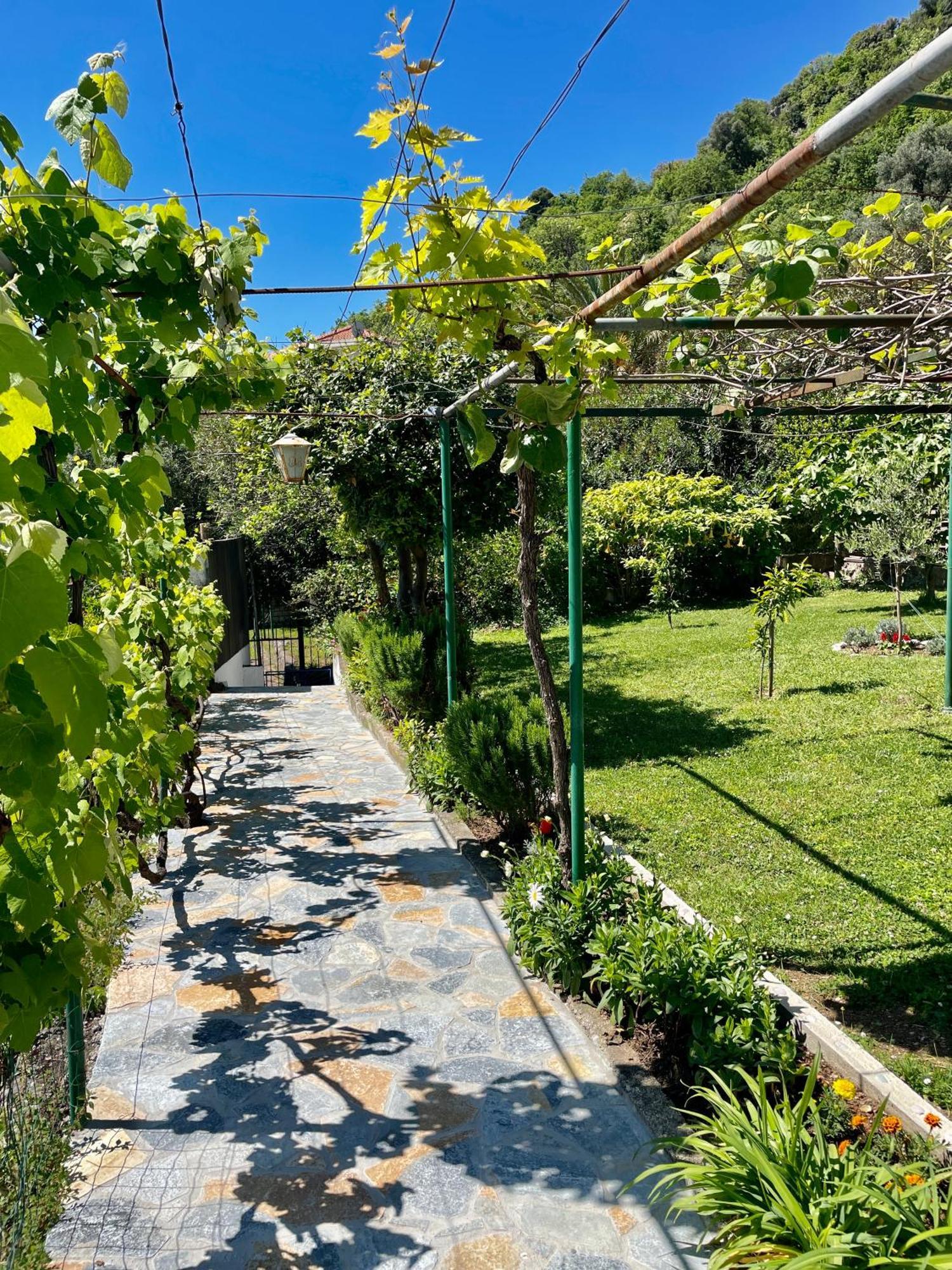 Apartmens Marina *