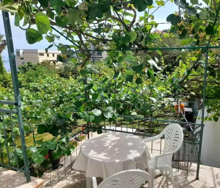 Apartmens Marina Lägenhet *